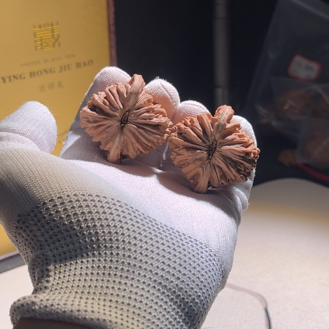 朋***楼子楼子楼子楼子 