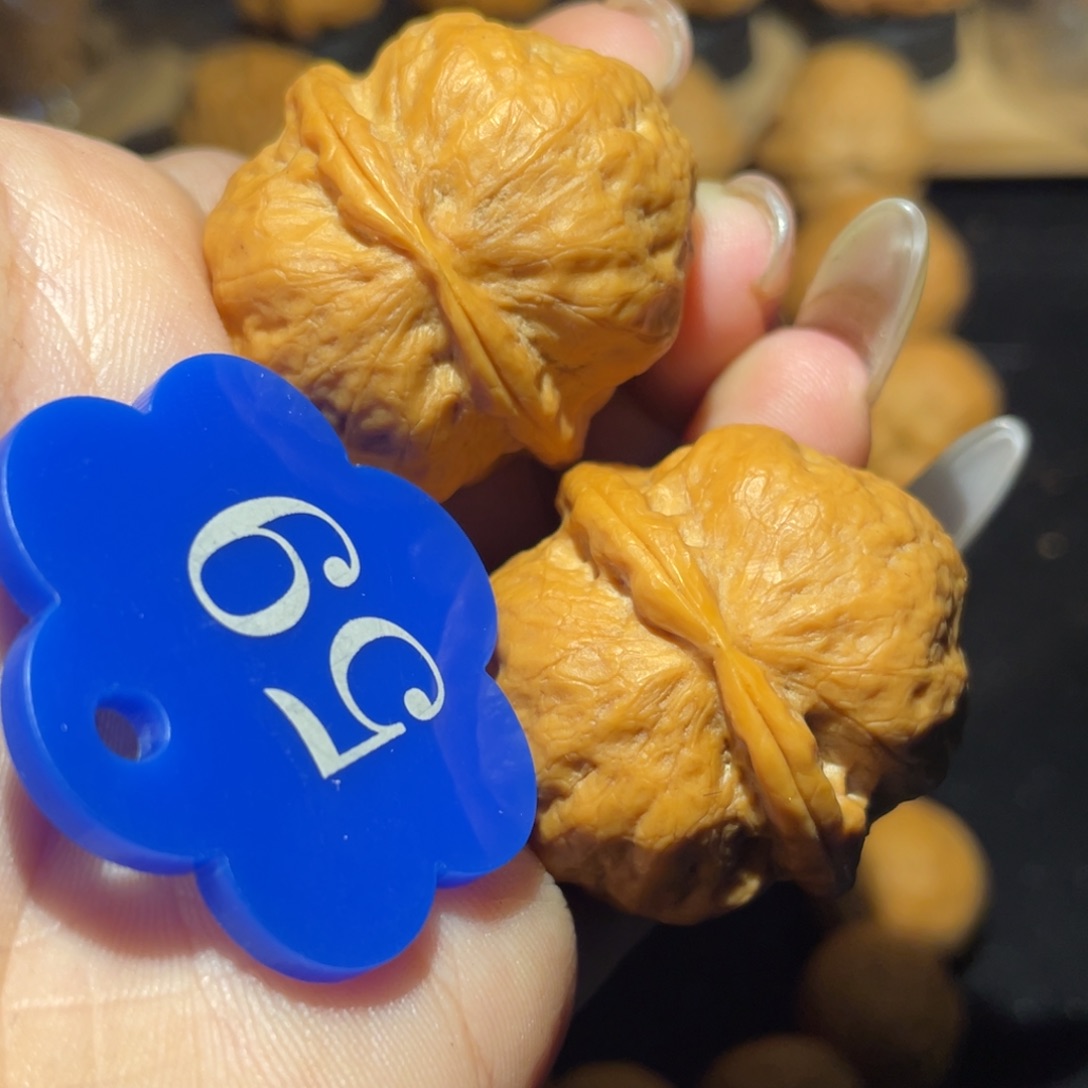 冰蟾36尺寸核桃。  