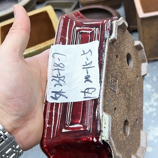 红陶紫砂花盆漂亮