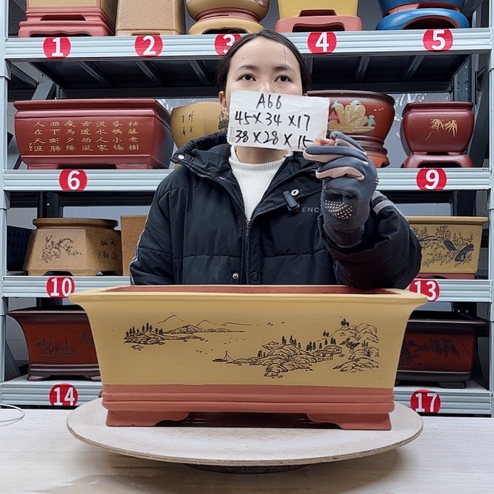 紫砂花盆紫砂花盆