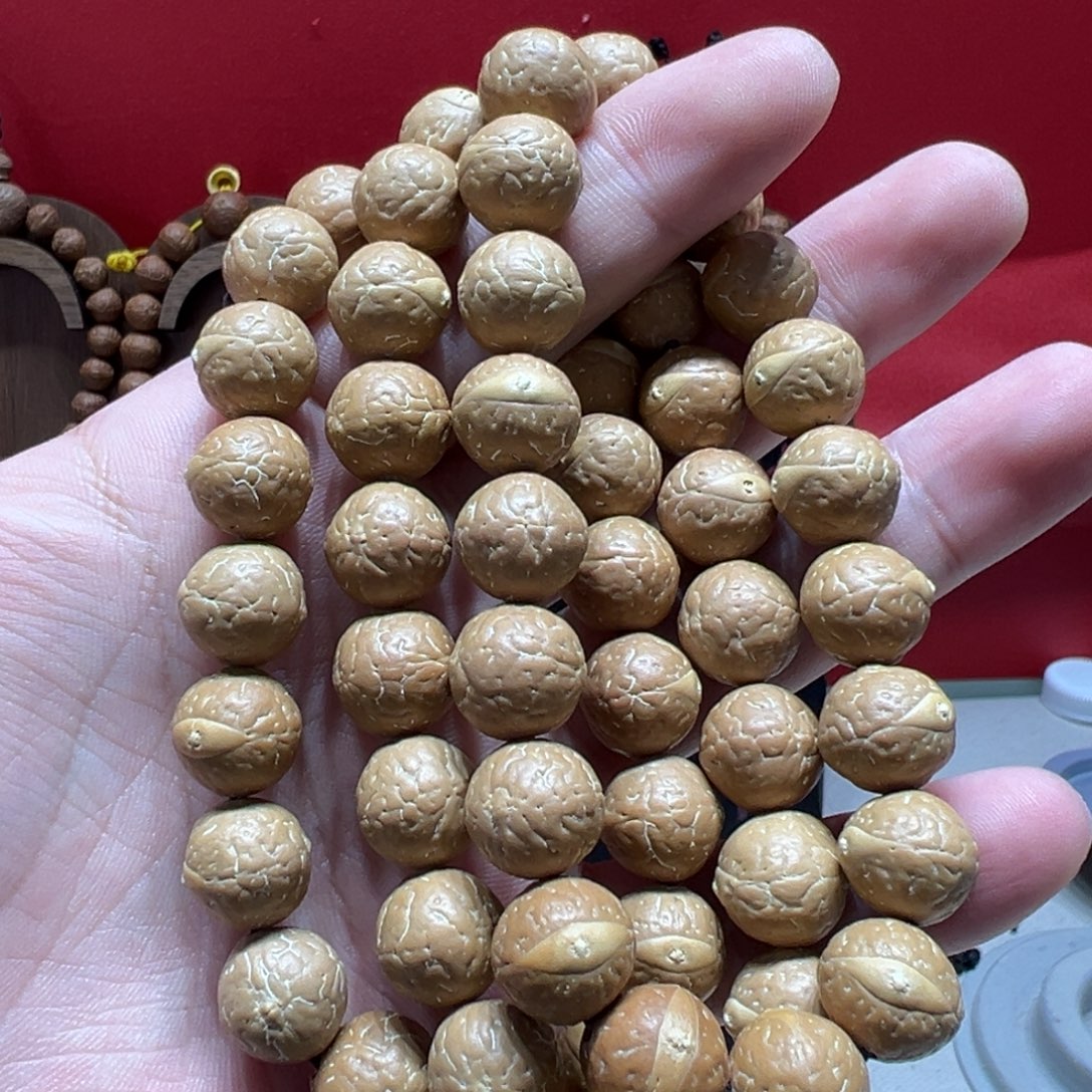 手串凤眼菩提14.5mm尼泊尔凤眼菩提单圈