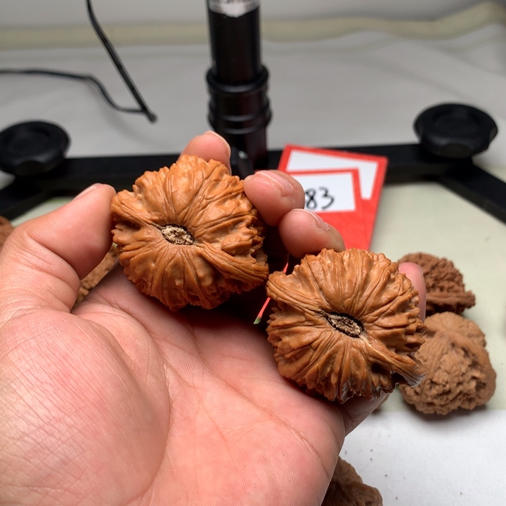 文玩核桃把件胡****了核桃