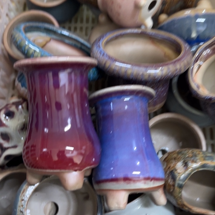 花盆花盆花盆花盆