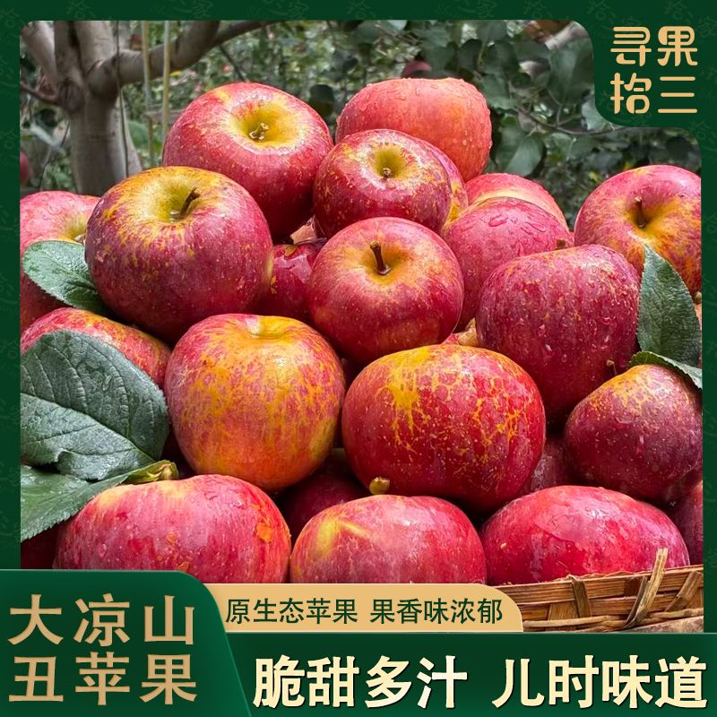 【优级】2025年头茬新鲜四川大凉山盐源冰糖丑苹果 脆甜好吃 现摘