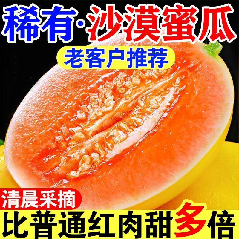 【超甜】正宗甘肃民勤沙漠蜜瓜香甜多汁新鲜水果甘肃民勤产地直发