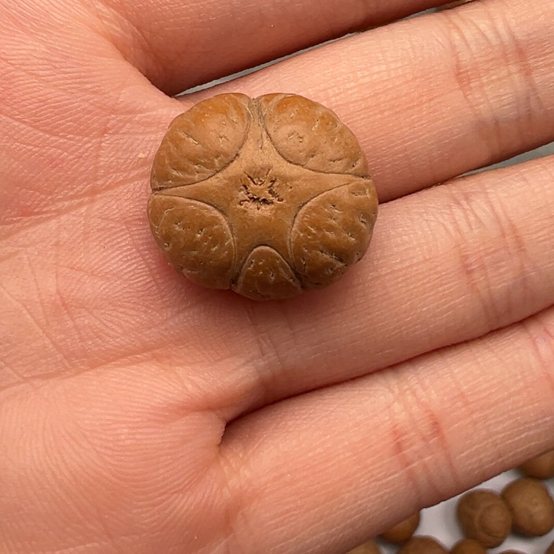 凤眼菩提吊坠五星19➕