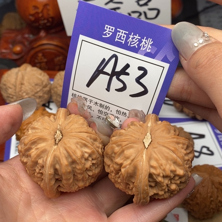 桃核吊坠43白狮子53号牌