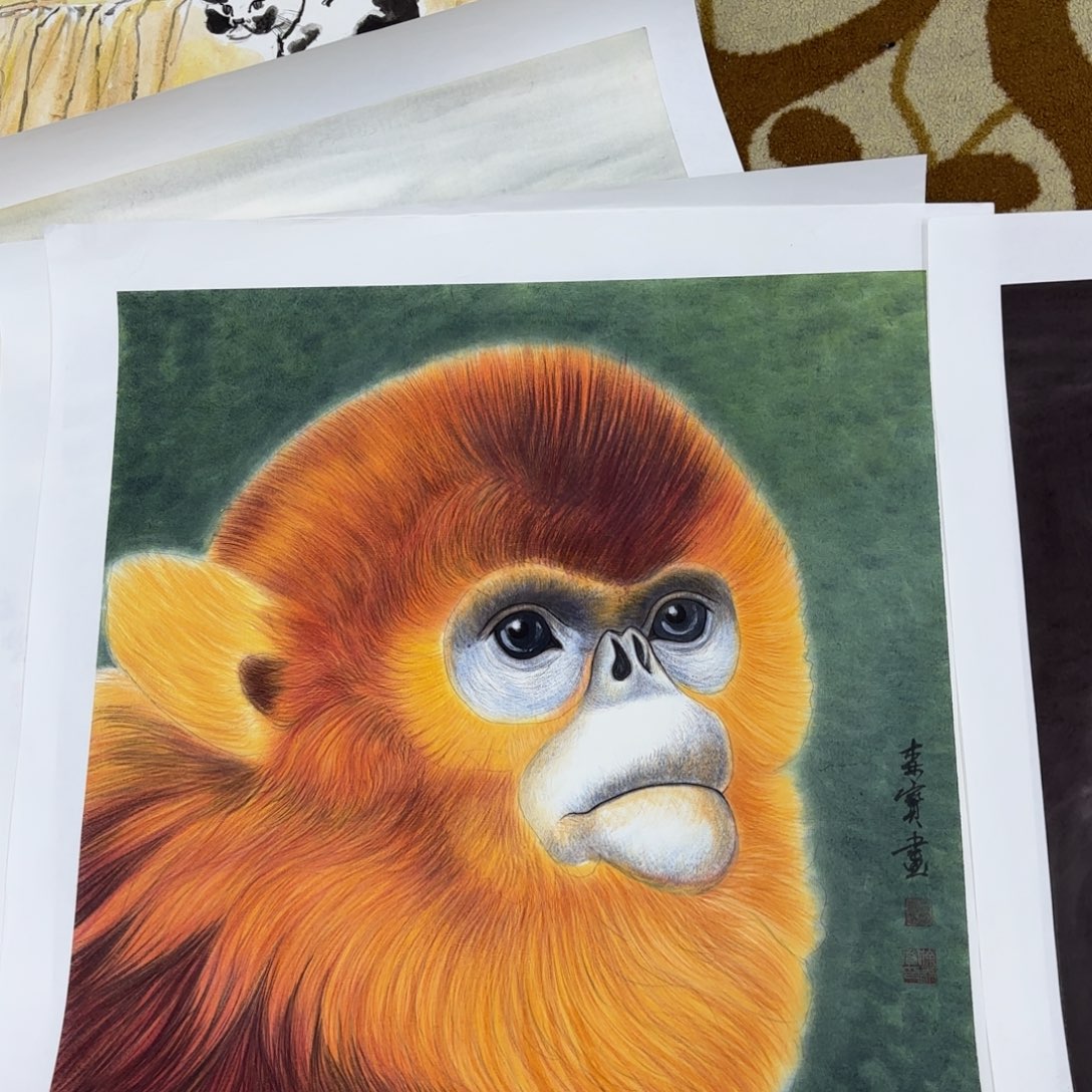 国画T****约徐森宝斗方花鸟赵