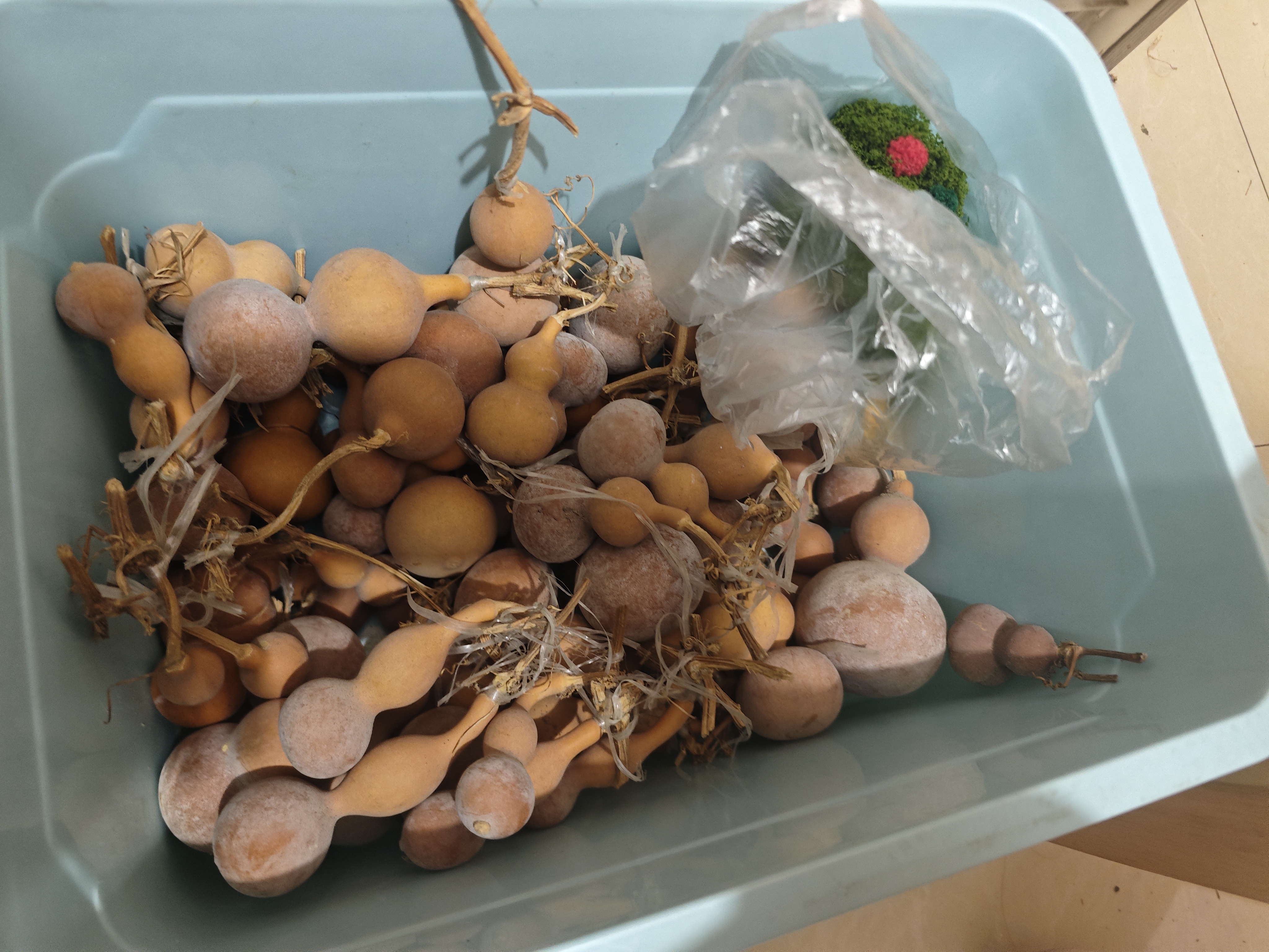 天然小葫芦手把件盘玩文玩带龙头优选福禄葫芦