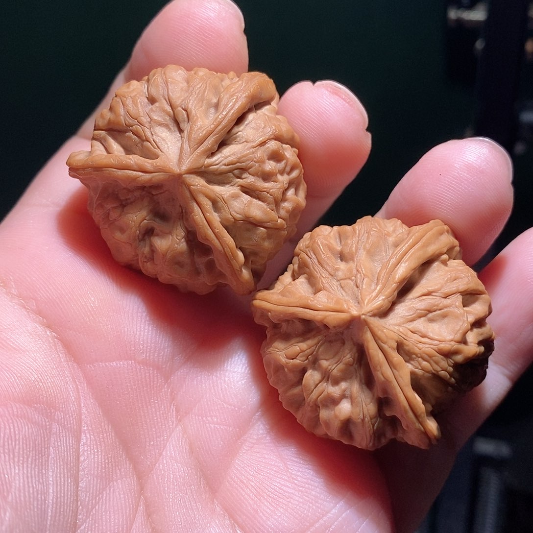 把件文玩核桃38玉玺三棱全品