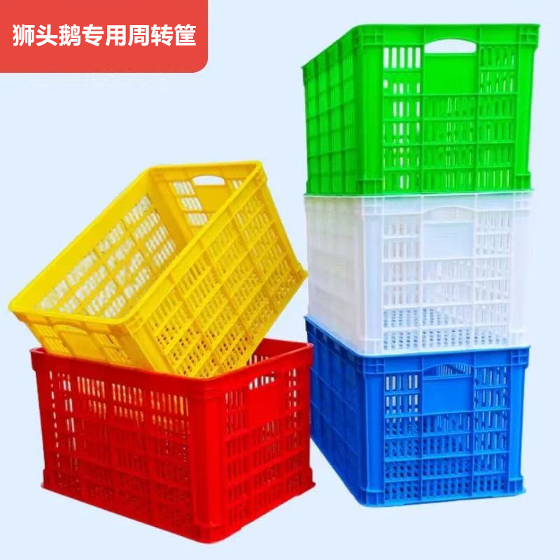 狮头鹅运输周转箱养殖适用加厚塑料