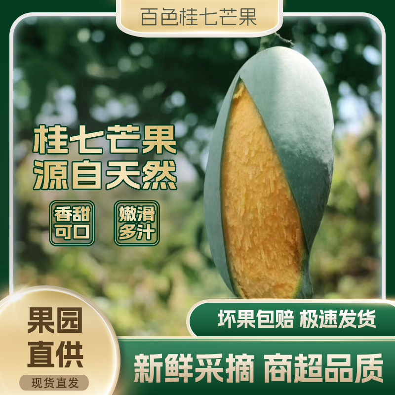 【正宗】广西百色桂七芒果当季新鲜水果产地直发新鲜摘包邮