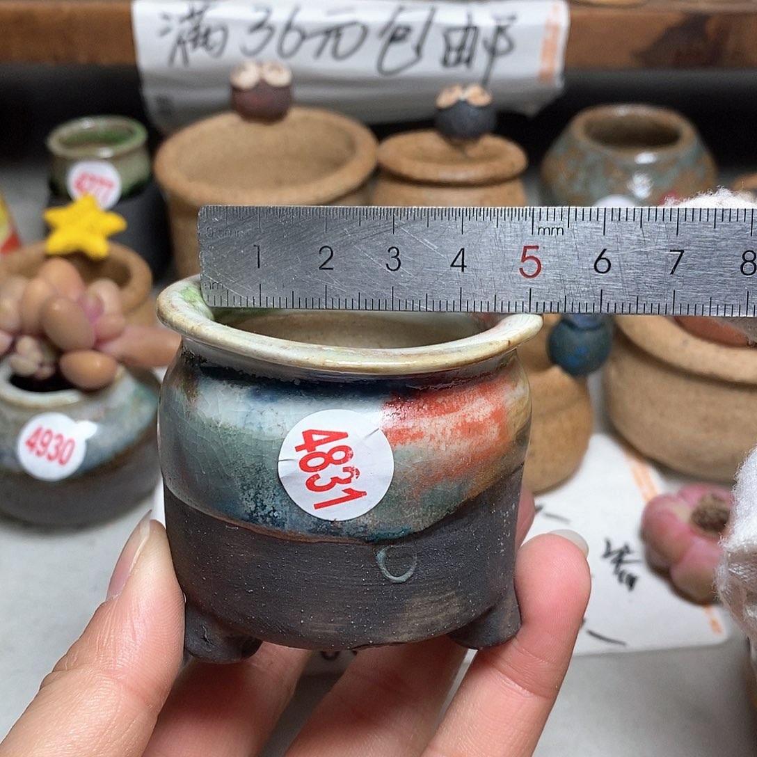 红陶拍5送一个小