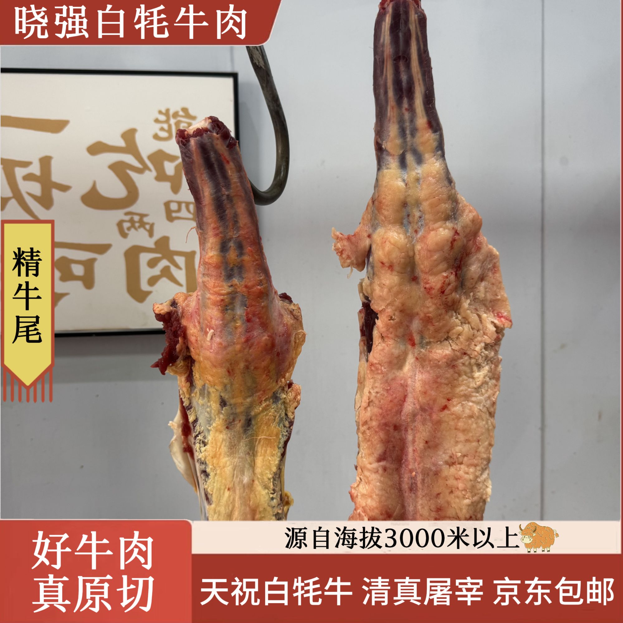 【白牦牛牛尾牛肉牛尾骨新鲜】4斤起拍正宗高原白牦牛现切冷链发货