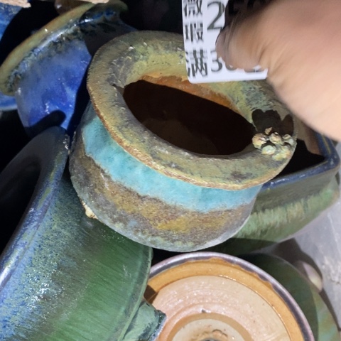罐2599 微瑕38包邮景德镇陶瓷