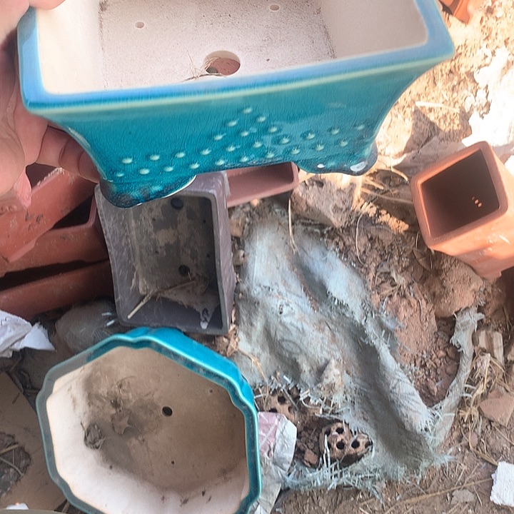 紫砂淘宝的朋友也要抓紧