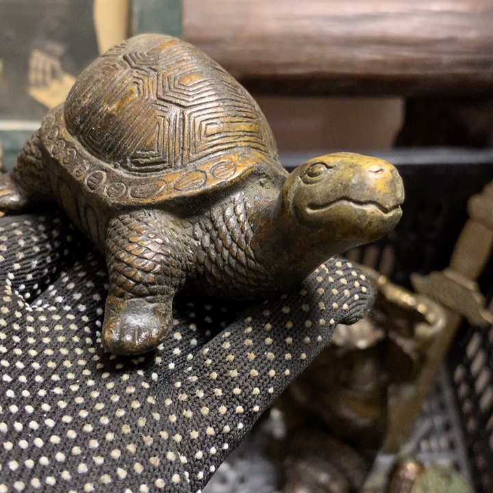 清***伊一物一拍所见即所得