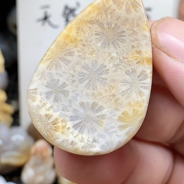 颈饰未镶嵌硅化珊瑚（珊瑚玉）