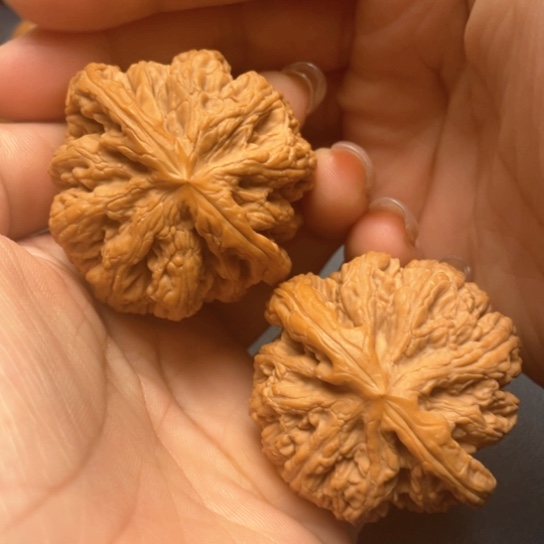 文玩核桃把件47大粗筋