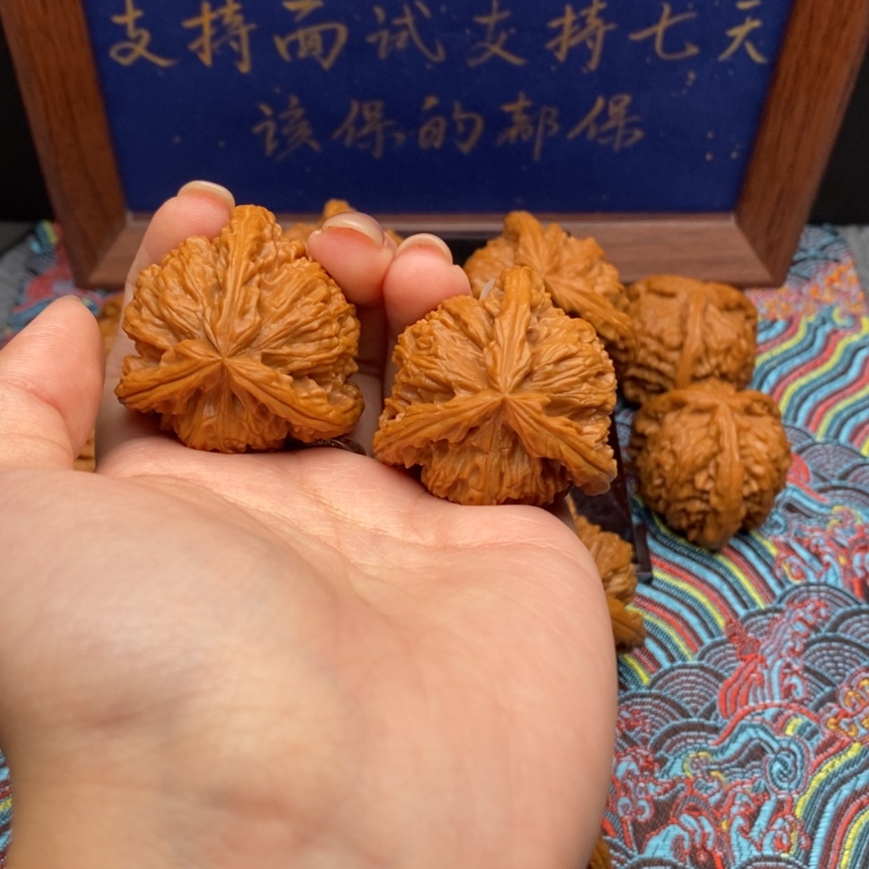 【闪购商品】静*哥白狮