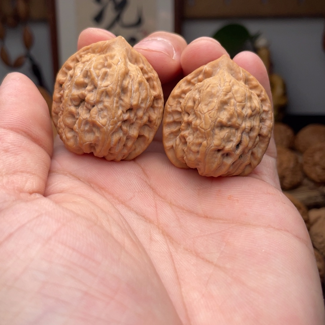 文玩核桃把件玖月皮质体验对
