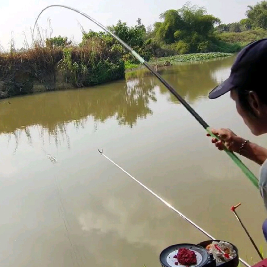 3号鲫鱼竿鲤鱼竿各种鱼竿下单链接（支持七天无理由带运费险）