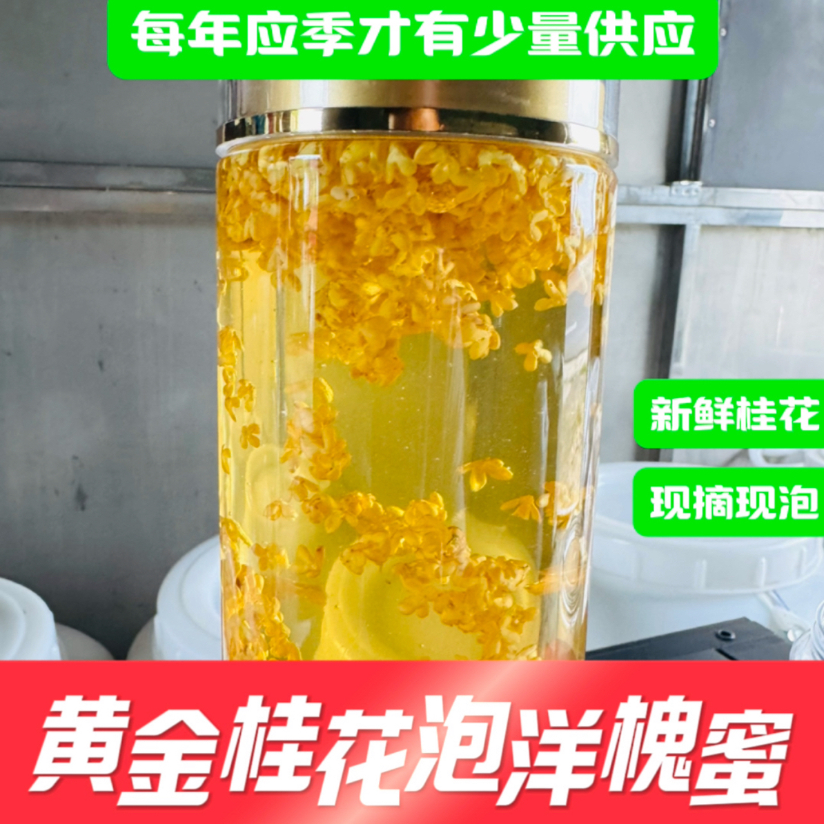 〔新鲜桂花泡洋槐蜜〕现摘现泡