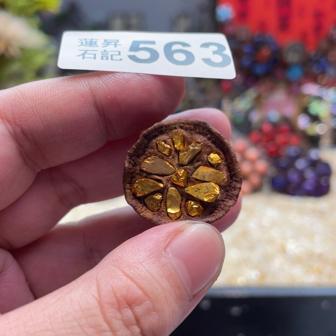 核桃木/黑胡桃（胡桃木）563
