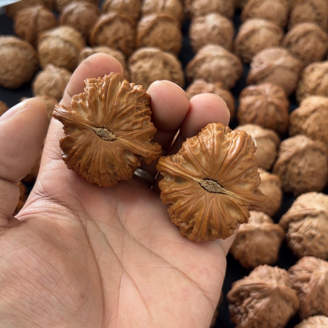 文玩核桃吊坠v*白狮子