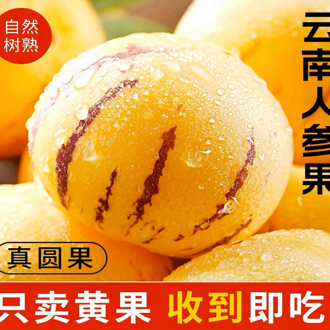 K云南石林树熟人参果现摘现发清甜多汁5斤装