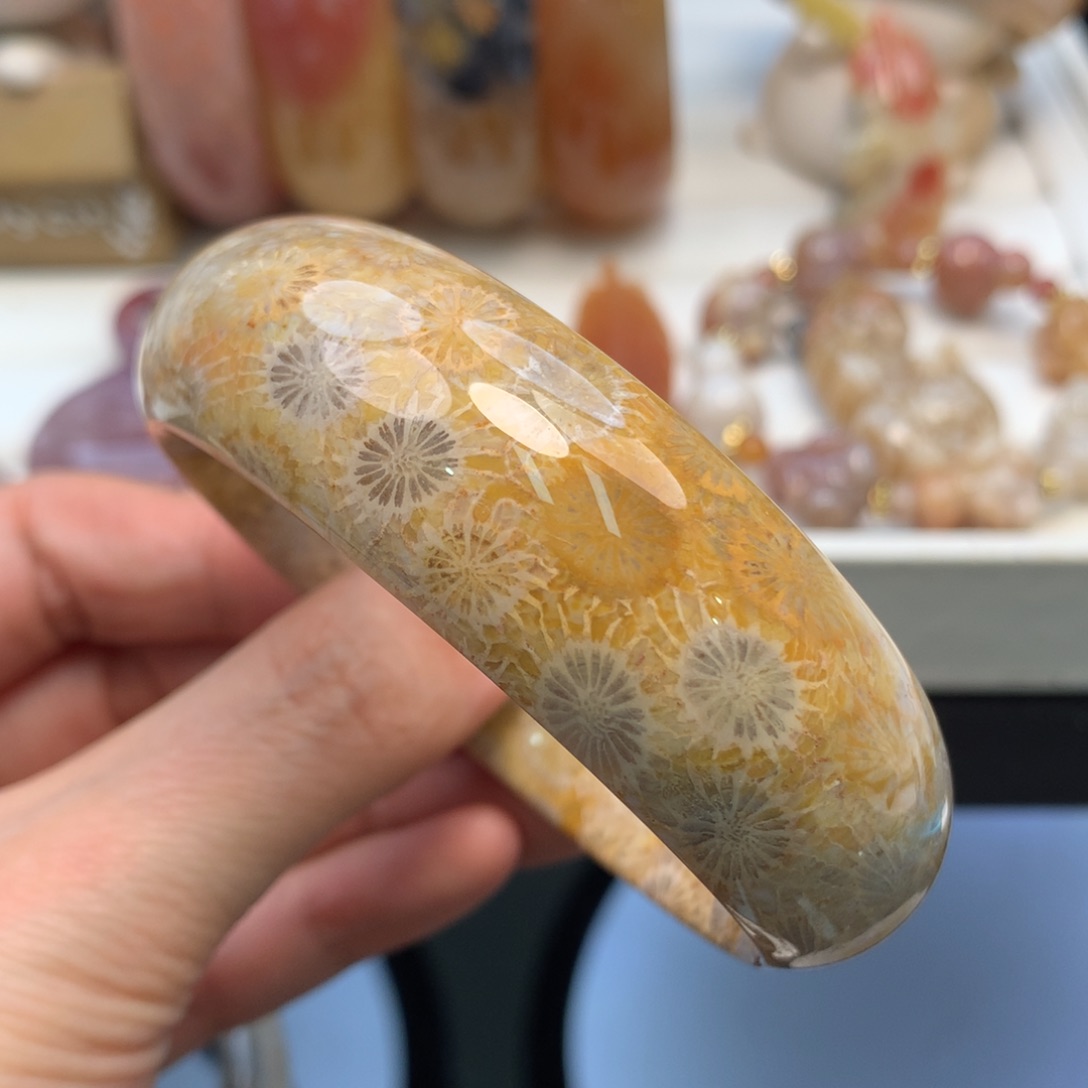 硅化珊瑚（珊瑚玉）手镯未镶嵌59.5口