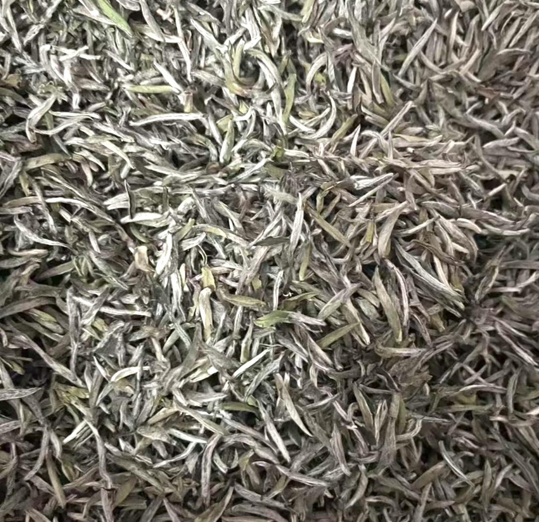 22年雪后白鹭窠头采银针 蜜感十足