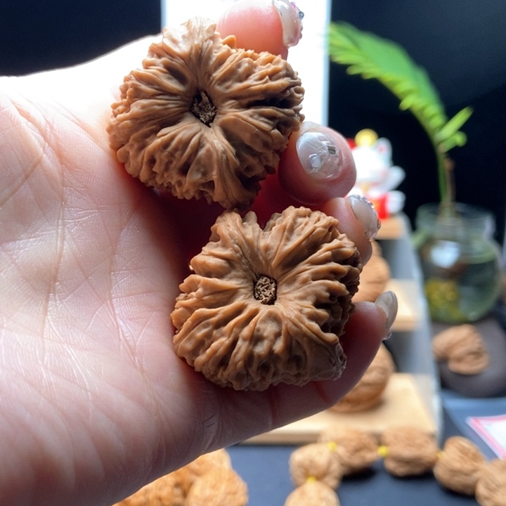 核桃手串/手链键**侠37全家福拉丝天眼老核全品