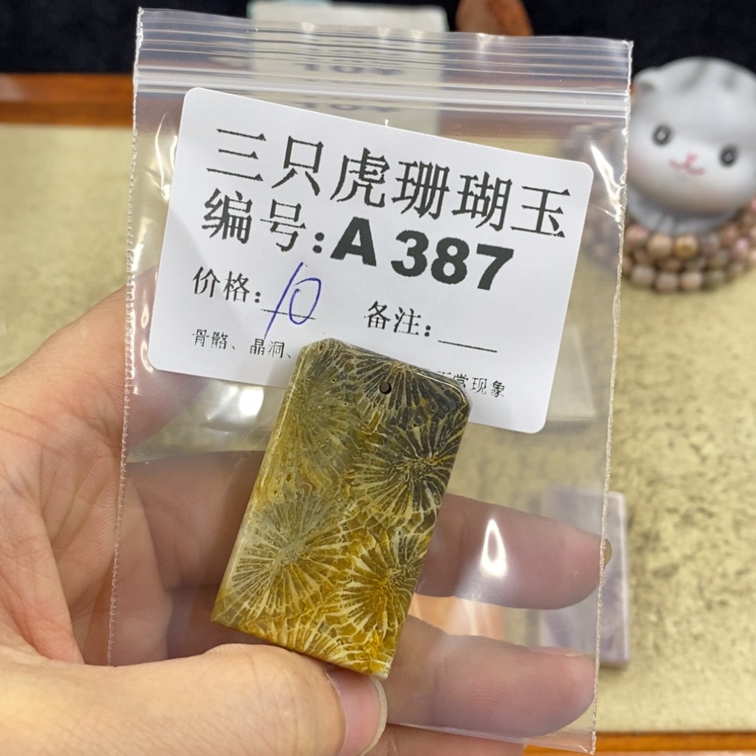 硅化珊瑚（珊瑚玉）1未镶嵌阳*