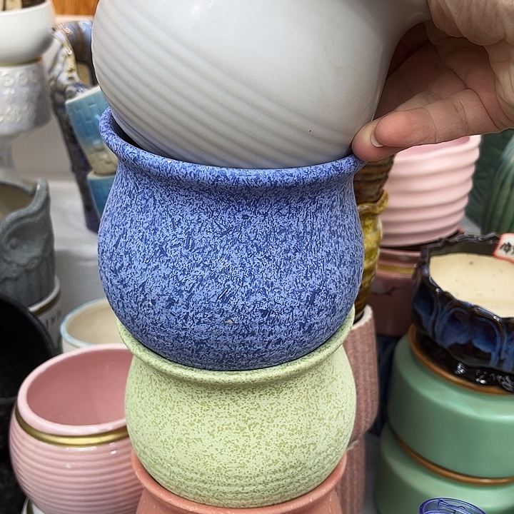 多肉植物陶瓷花盆