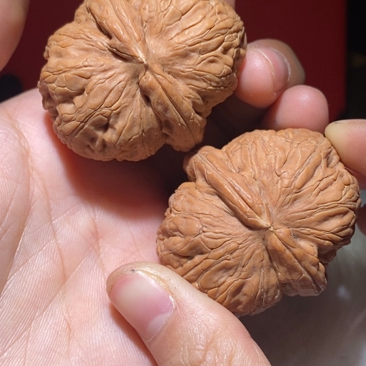 荔****吊坠文玩核桃精品课程建设和课程体系的