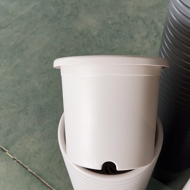 微瑕4#灰白8个无托