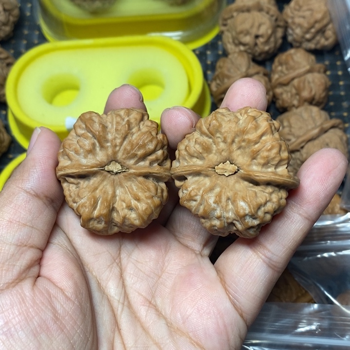 破***堂把件文玩核桃蛤蟆40