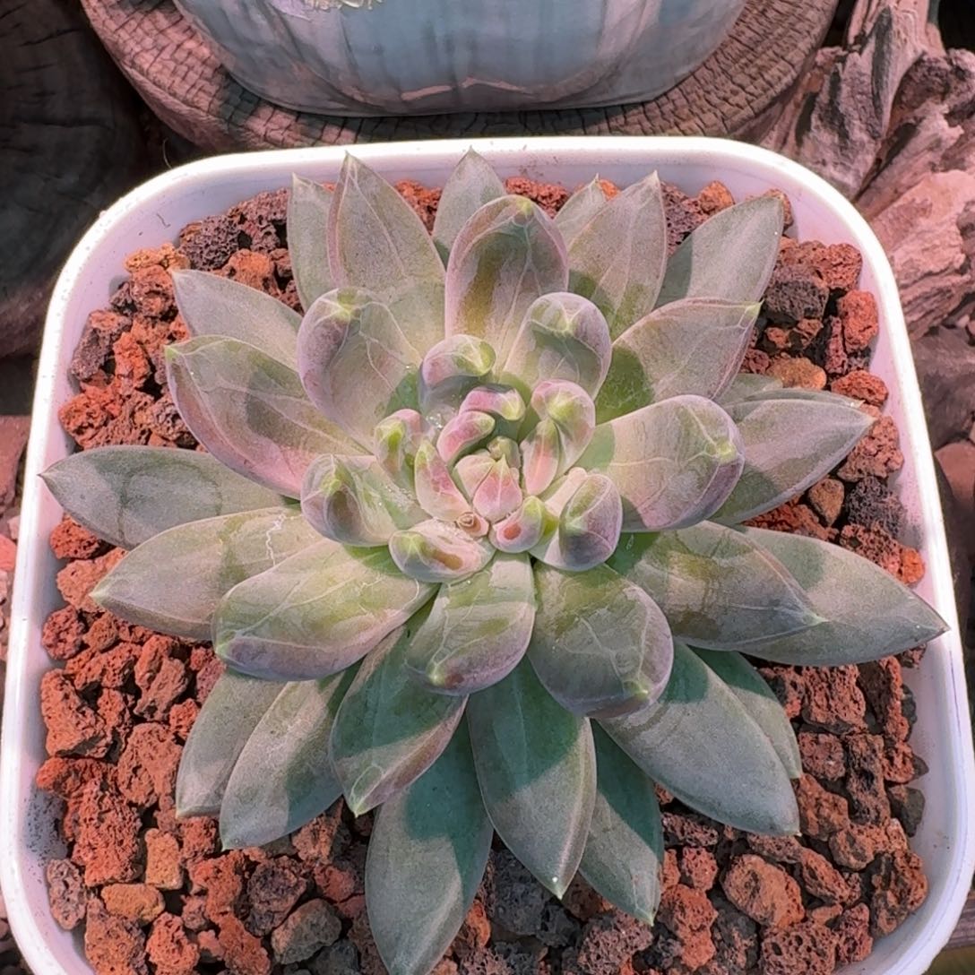 啊啊啊啊啊啊啊啊啊啊啊