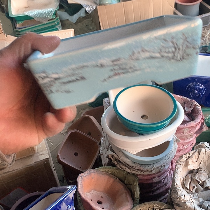 紫砂哈哈真的超级可爱哈哈哈哈哈