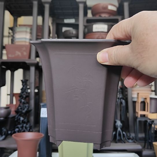 公***诀6只14.5*14.5切角四方樽混色