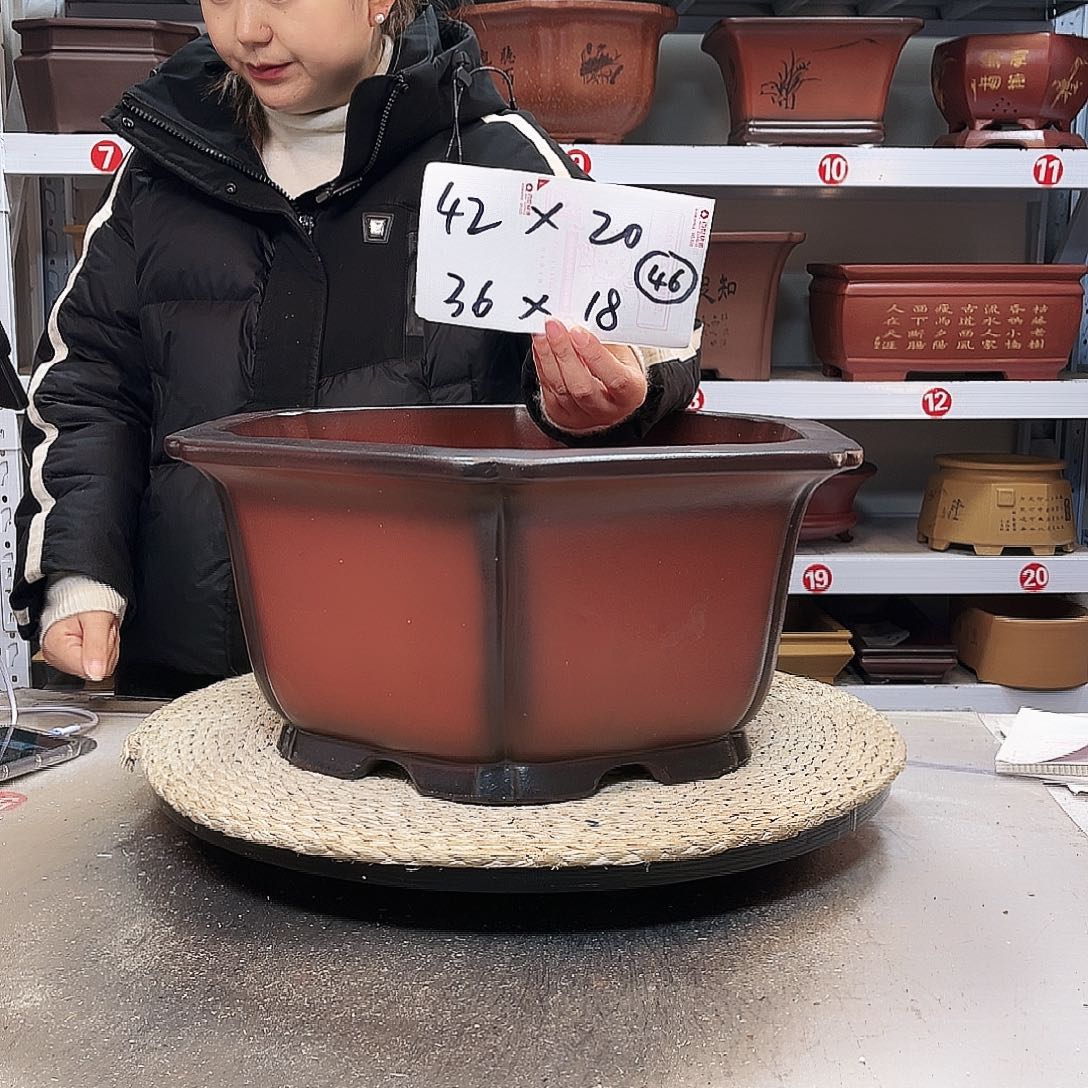 花盆紫砂紫砂花盆里