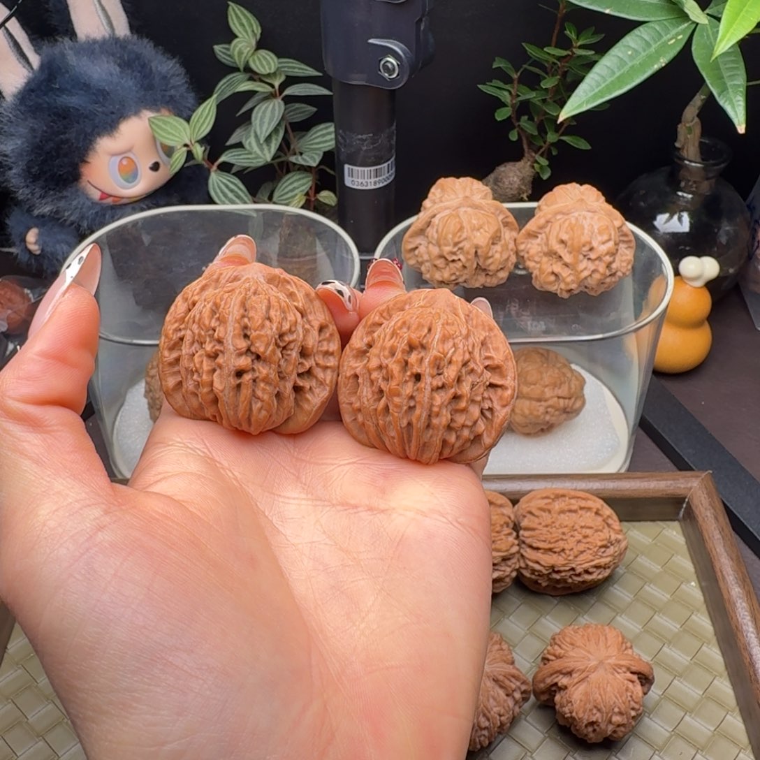 把件龙脊菩提全品四座楼39