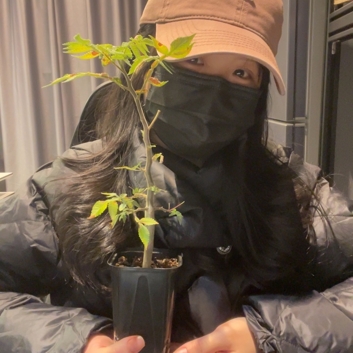 夏***放driverfolia 裂榄专拍