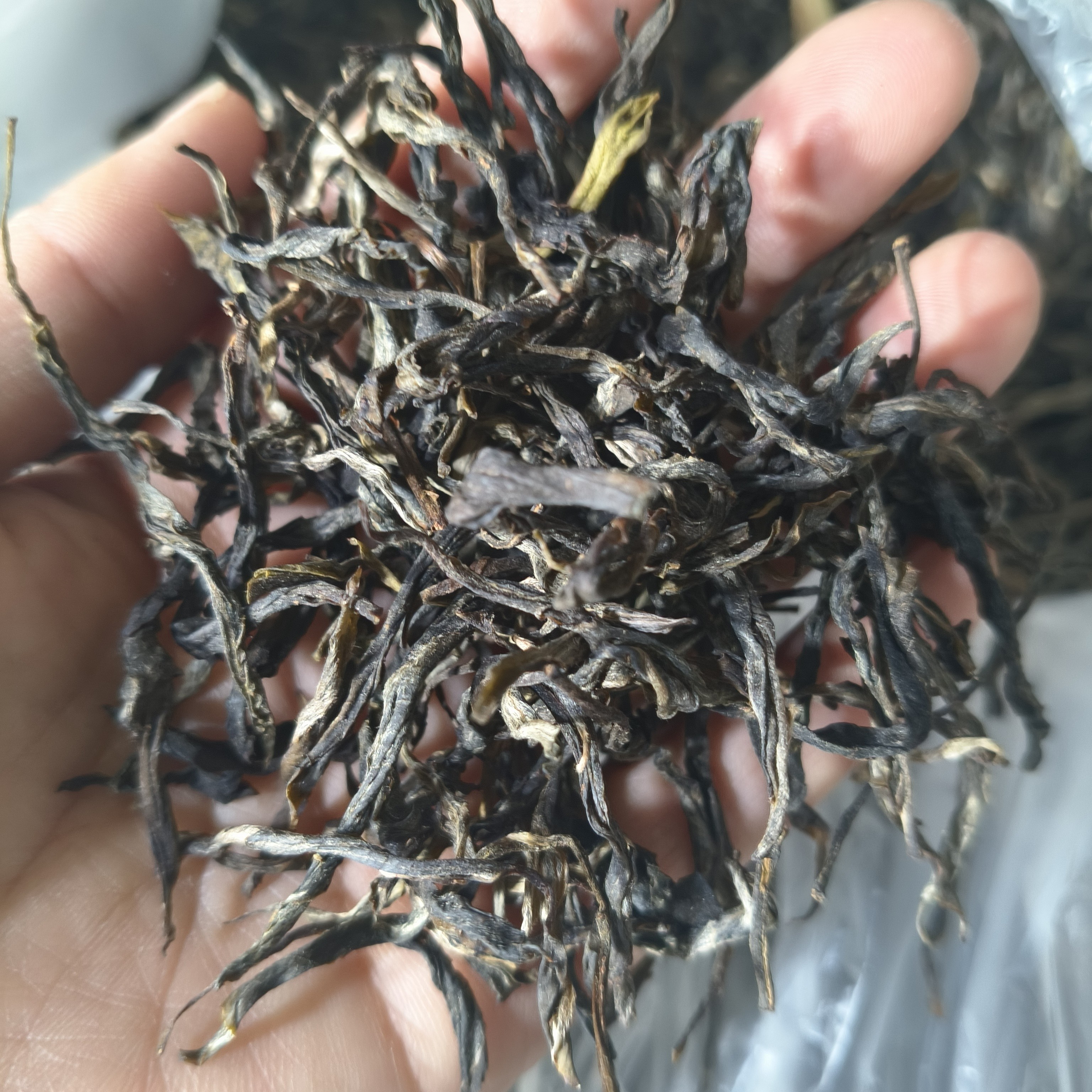 4泡古树单株+2泡大树+2泡台地