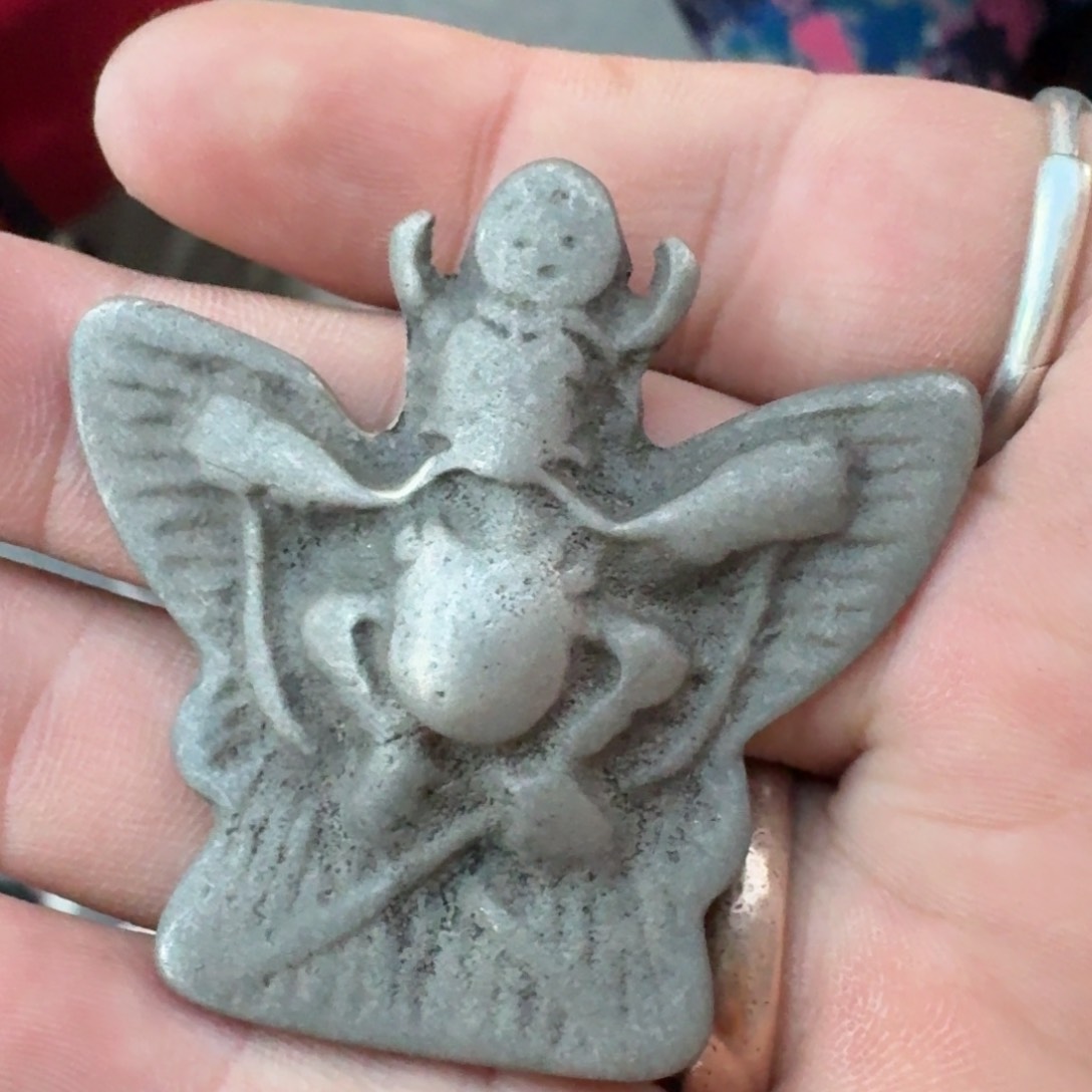 大鹏鸟喜欢带回家