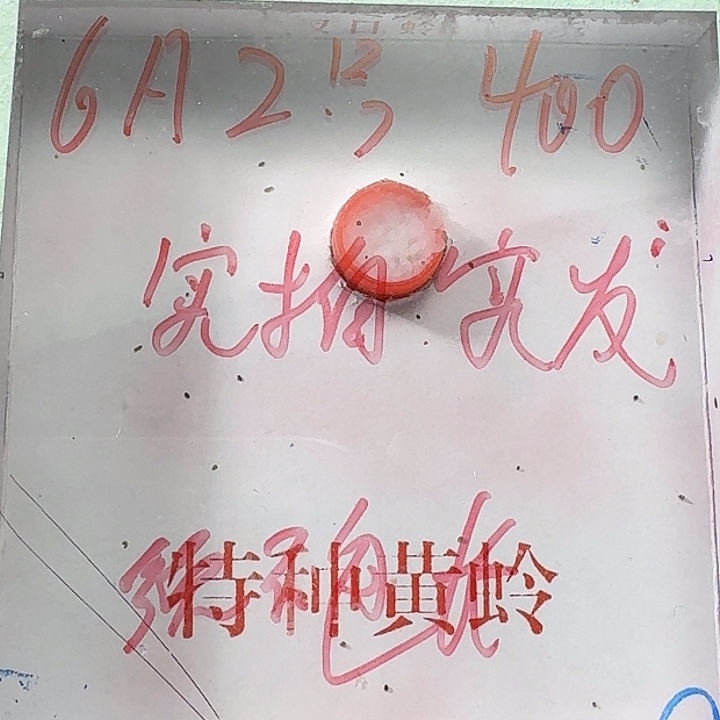 都***光蟋蟀222222222222