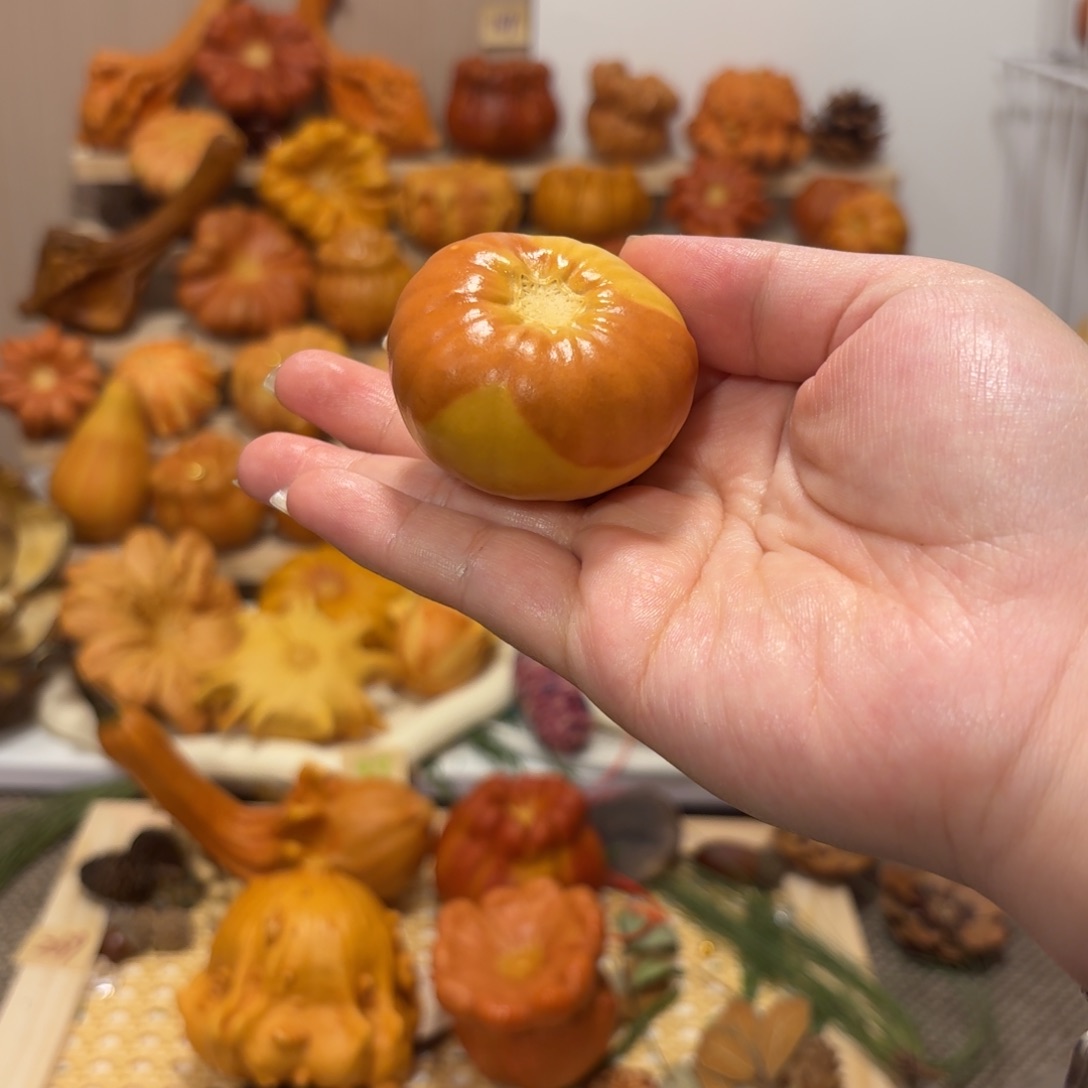 墨西哥葫芦双色小南瓜