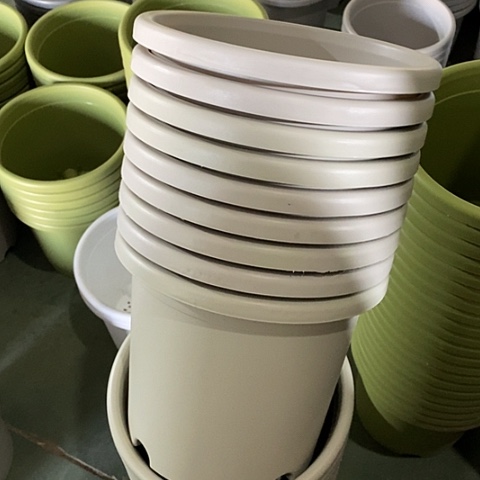 树脂微瑕4号8个无托灰白