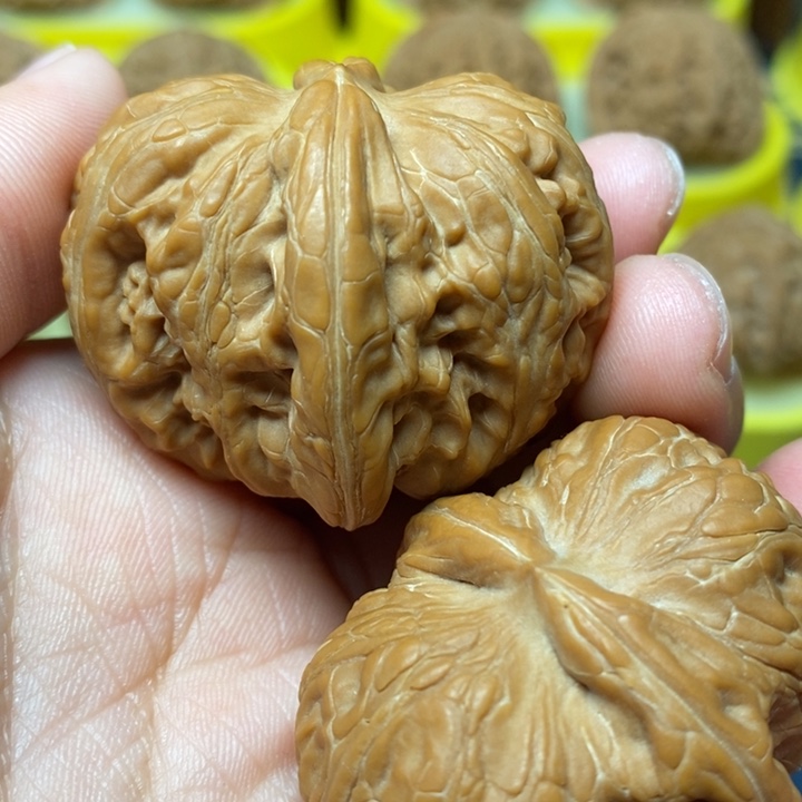 文玩核桃全品元宝42